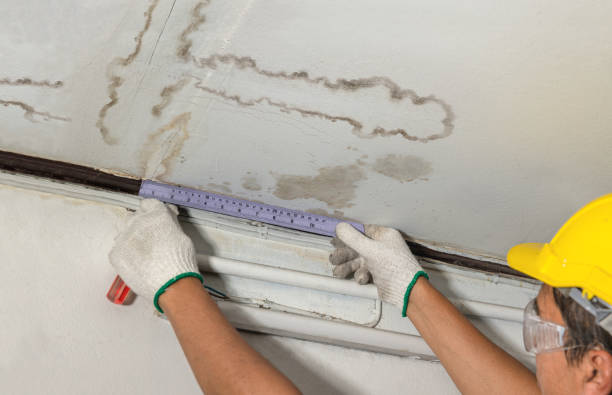 Reliable Water Damage Repair contractor in Sussex, NJ by Hirex Water Damage